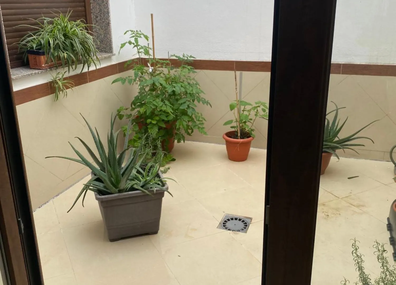 Apartamentos La Nina Palos de la Frontera 0*,  Spain